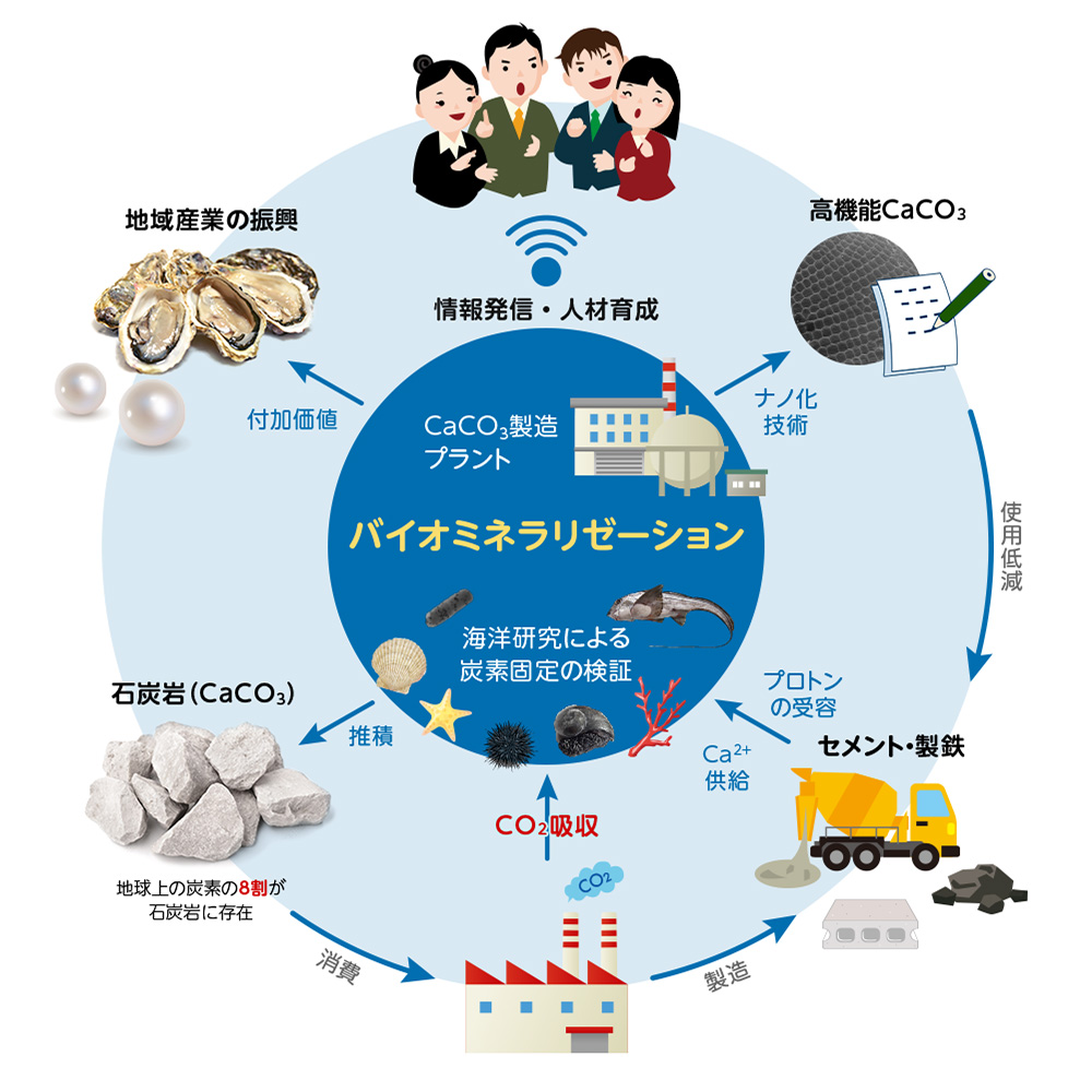 バイオミネラリゼーションによる脱炭素研究
