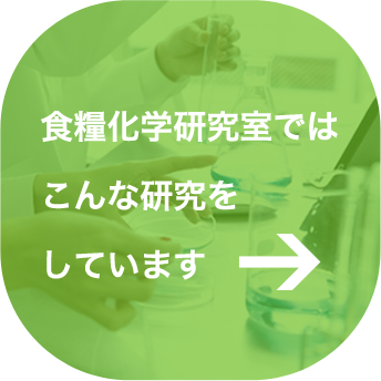 食糧化学研究室ではこんな研究をしています