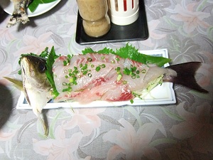 イサキお造り