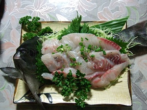 メジナお造り