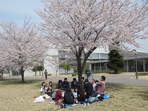 お花見ランチ　その１