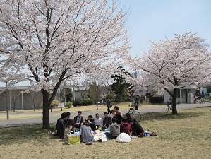 お花見ランチ　その２