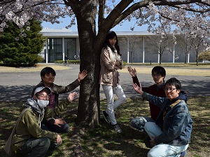 [お花見]