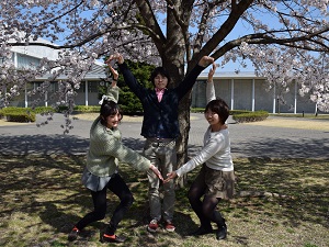 [お花見]