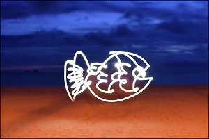 [研究室旅行] 光のアート：FISH