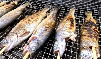 釣果