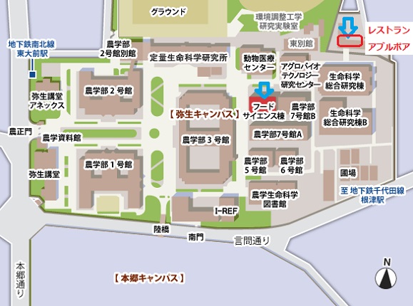 弥生キャンパスマップ+アブルボア
